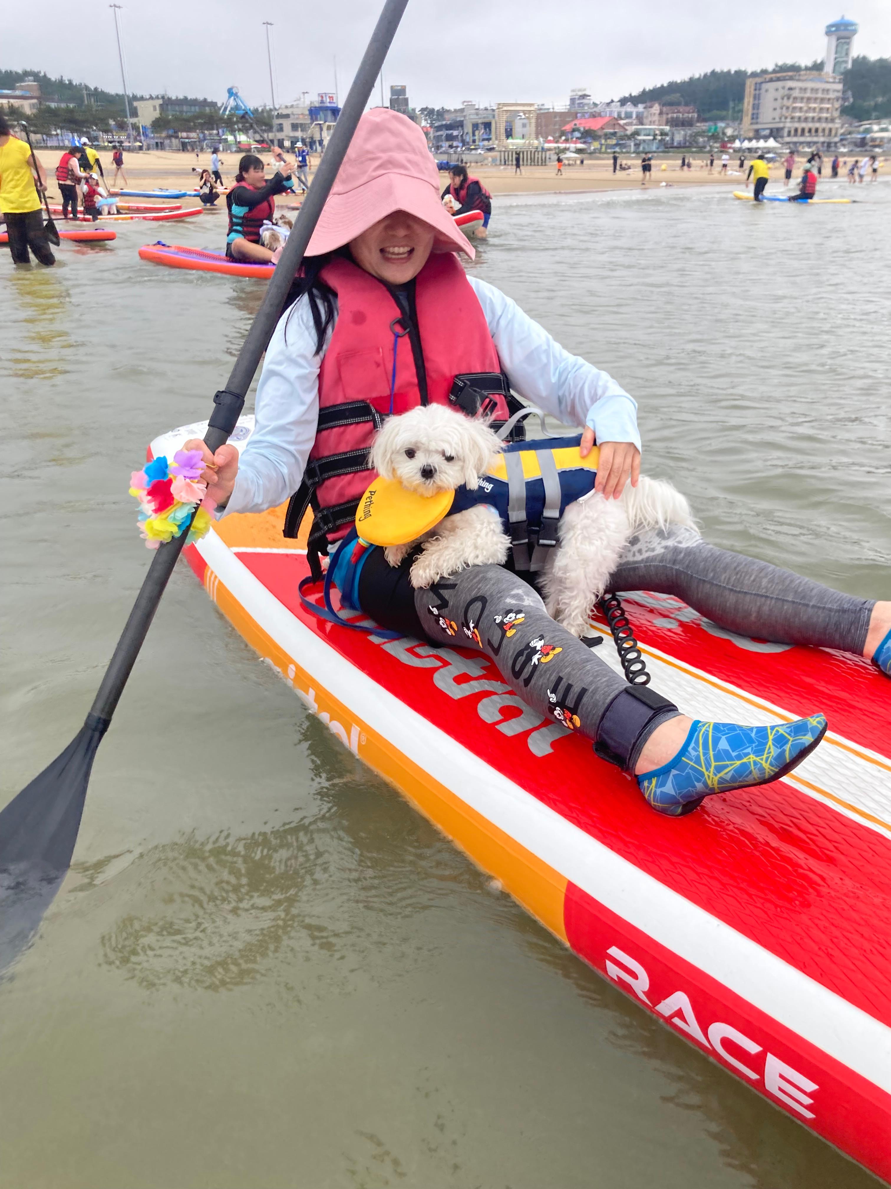 태안 패들보드 체험중