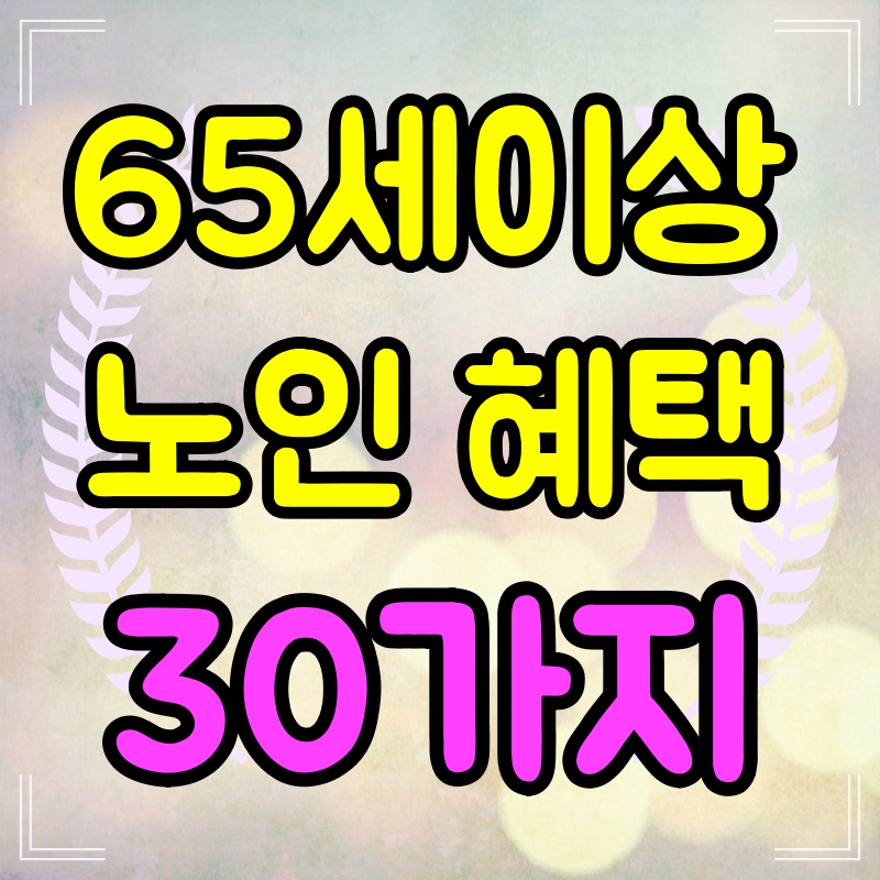 65세이상노인혜택