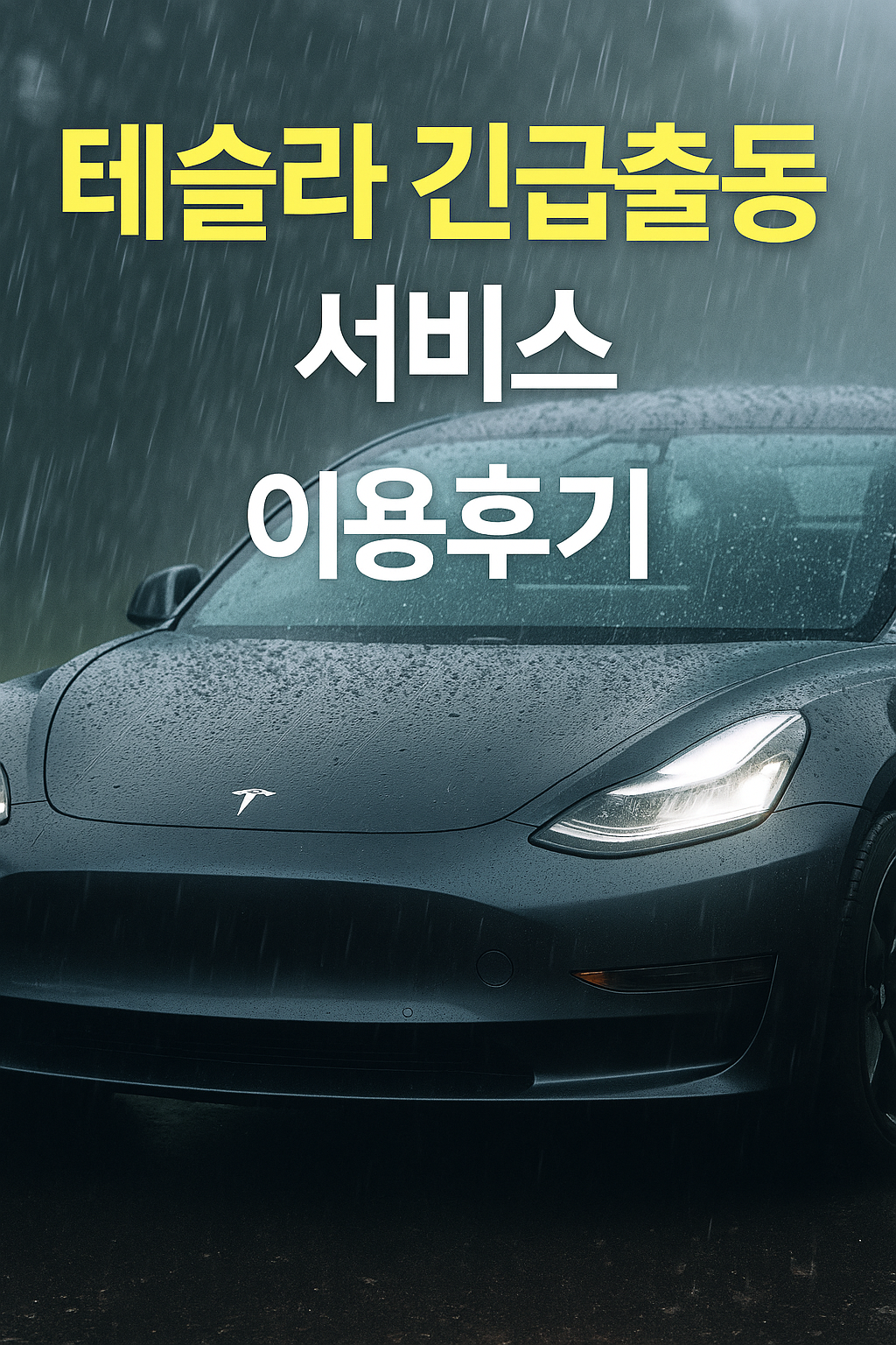 테슬라 긴급출동 후기