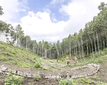인제 자작나무숲_20