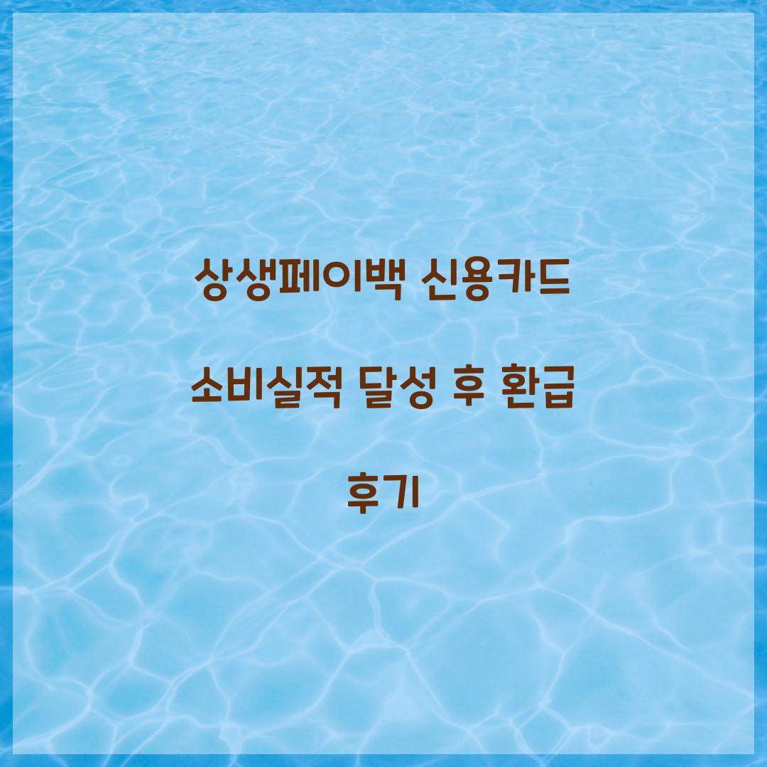 상생페이백 신용카드 소비실적 달성 후 환급 후기