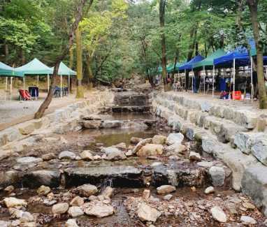 서울대공원 캠핑장 예약