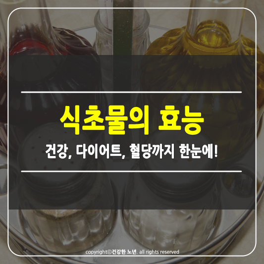 식초물의 효능