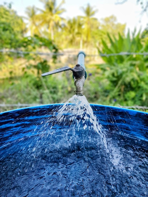 상수도요금 서울페이플러스