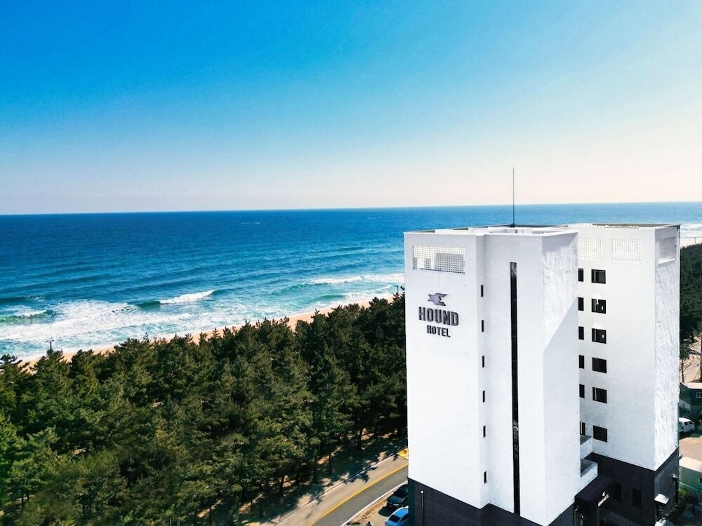 강릉 하운드 더 블루 호텔｜오션뷰·넷플릭스·카페까지, 할인 혜택으로 가성비 숙소 예약하기!