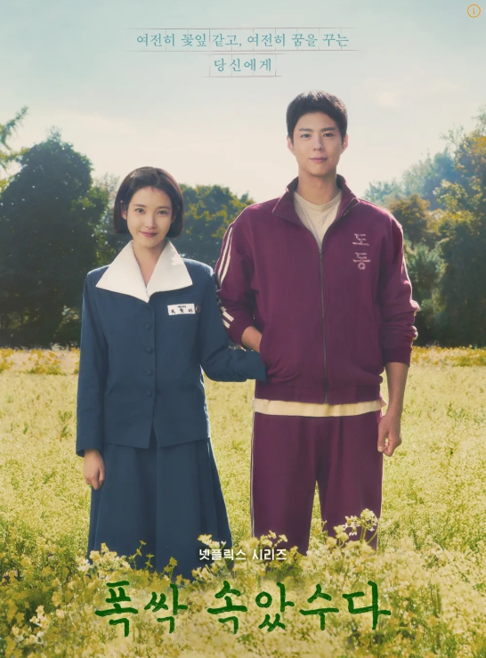 폭싹 속았수다 포스터