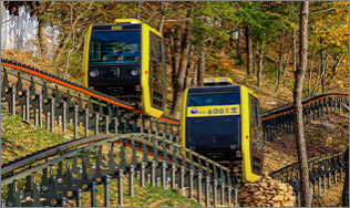 화개정원-모노레일