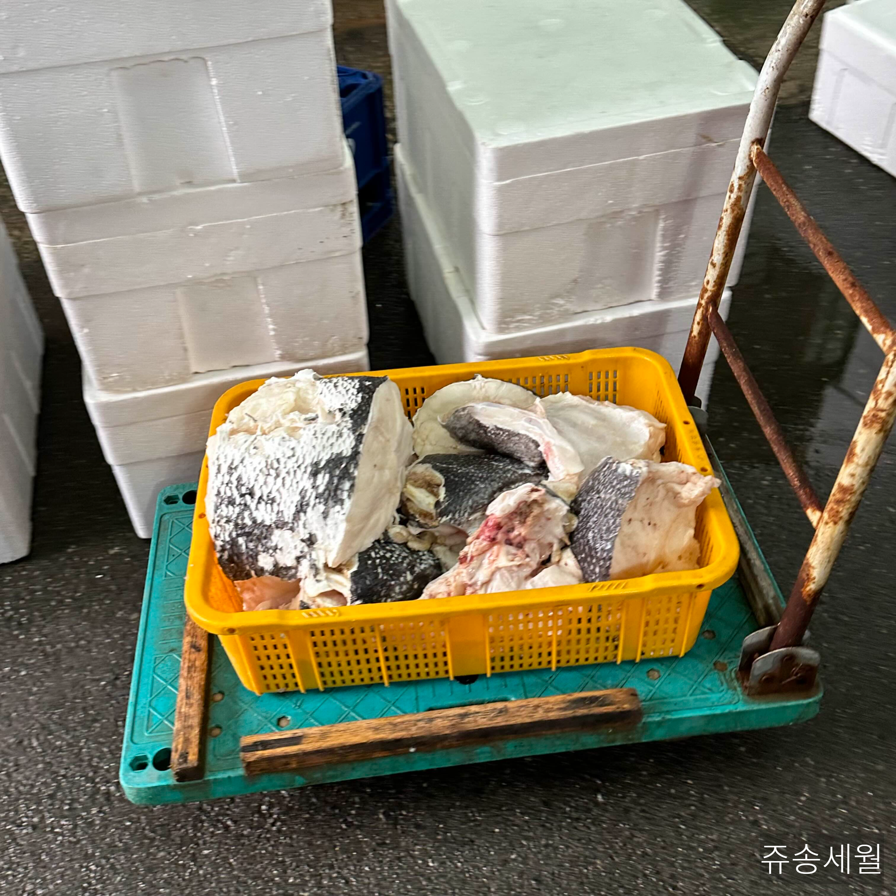 생선구이 강원도