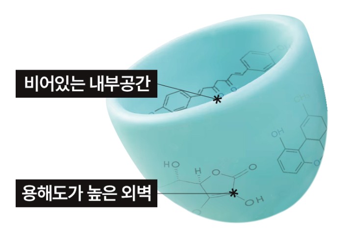 원데이-알파cd-효능-추천-2