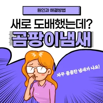곰팡이 냄새 빨래통 환기와 햇빛 건조 베이킹소다 뿌리기_7