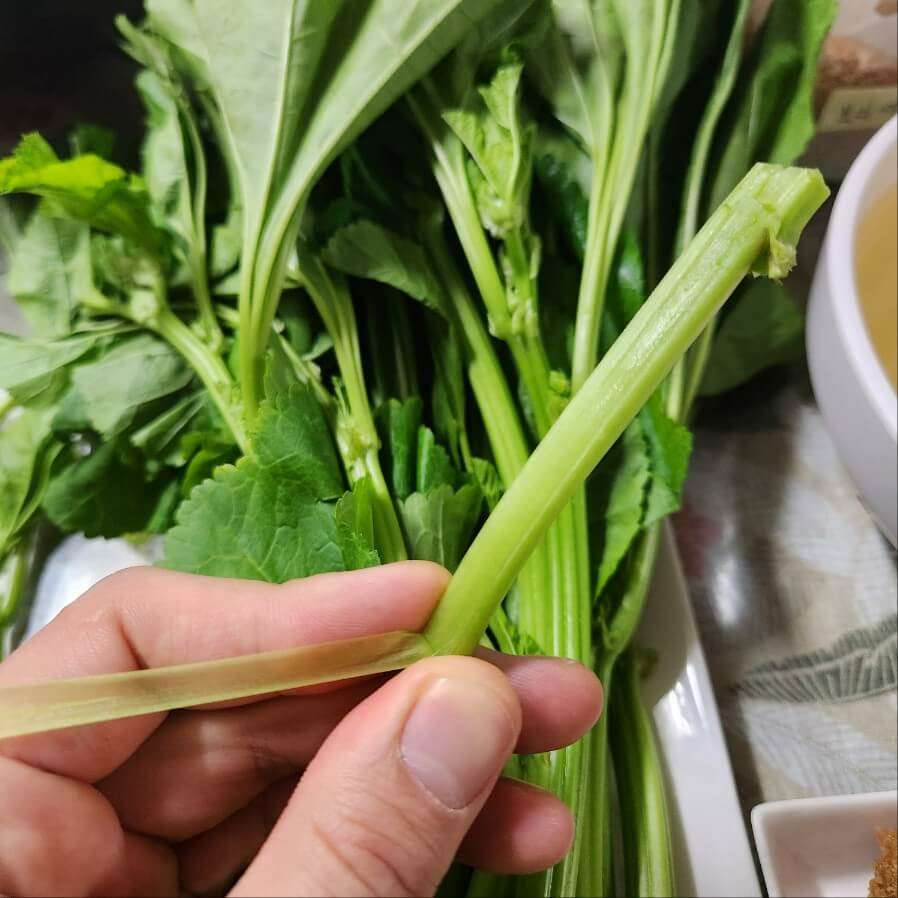 아욱된장국 영양성분 아기 아욱된장국 홍어회만드는법 금요일 저녁메뉴 퓨전한정식 생일상 차리기 아욱 요리