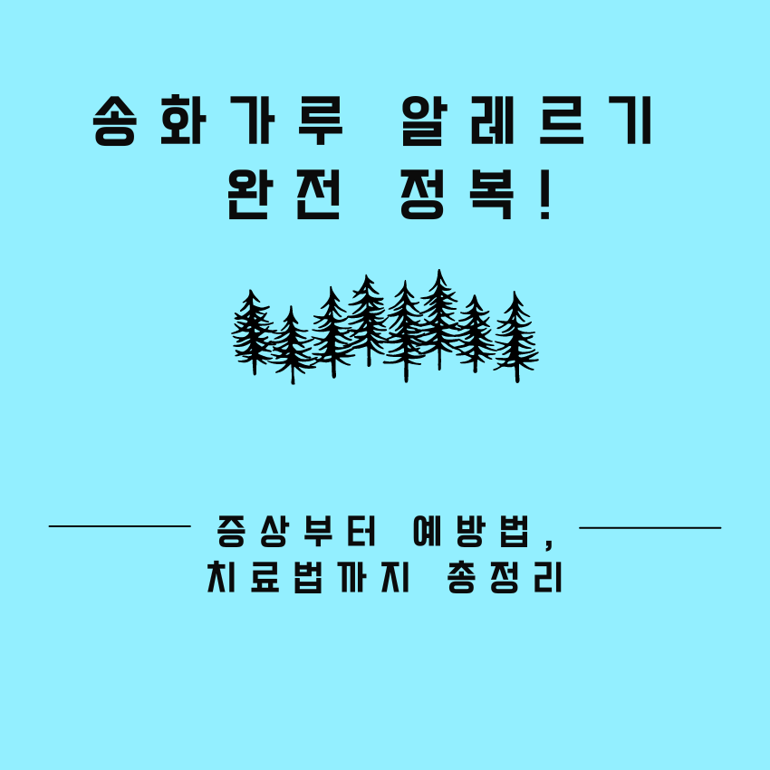 송화가루 알레르기