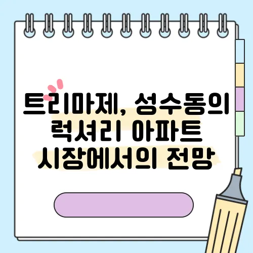 트리마제, 성수동의 럭셔리 아파트 시장에서의 전망