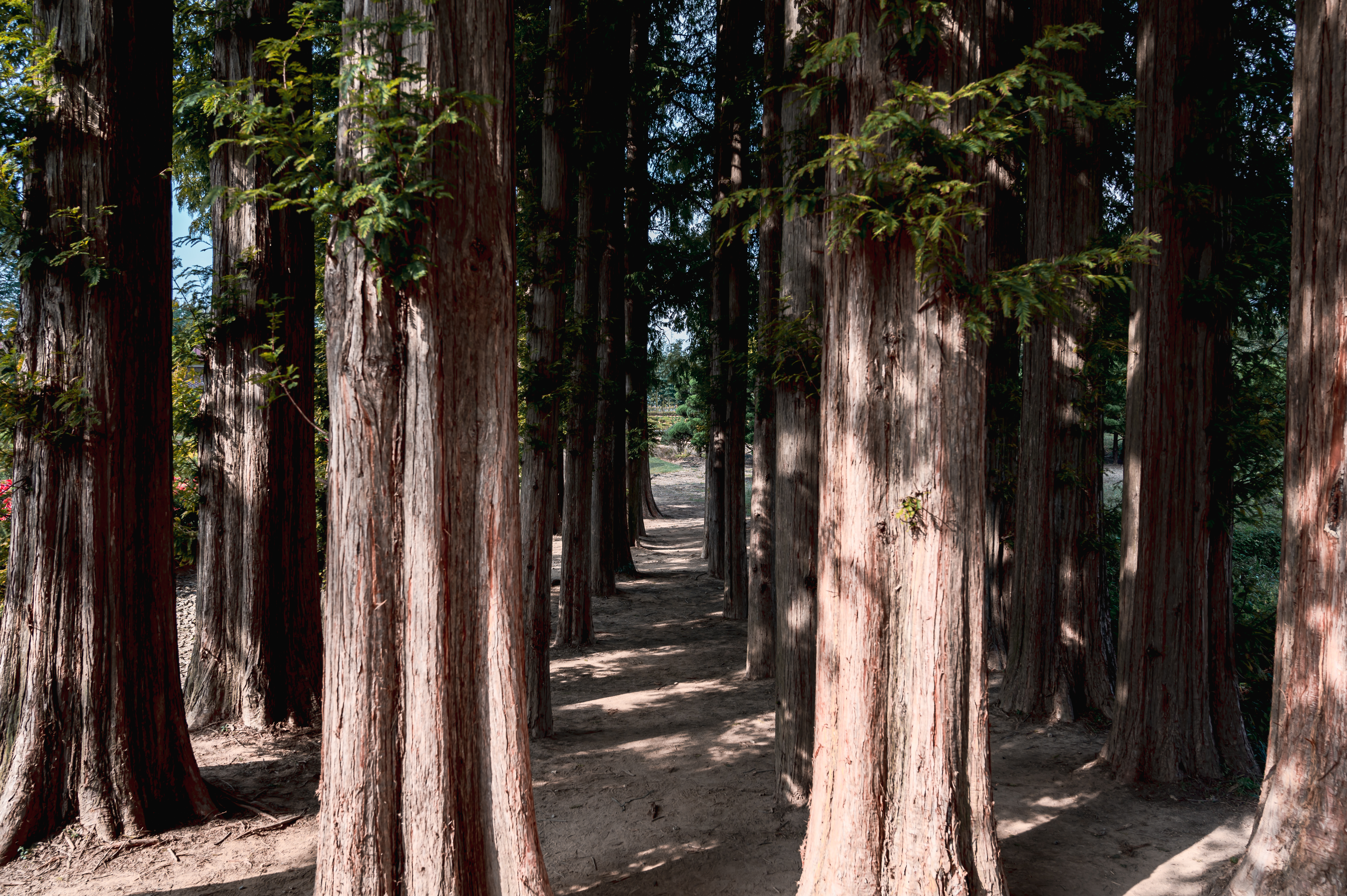 ์๊ฐํ ์ ์