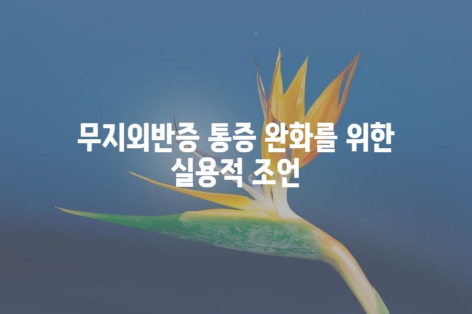 샘플 (45)