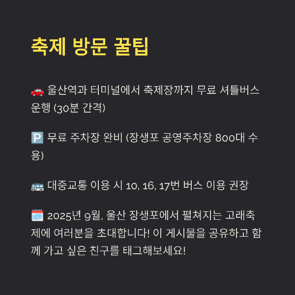 축제 방문 꿀팁