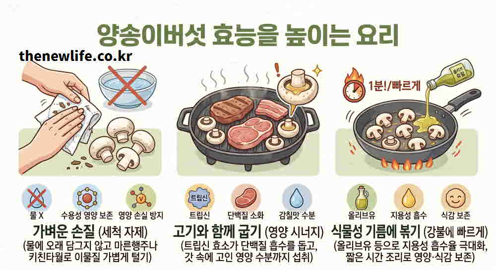 양송이버섯 효능 높이는 요리