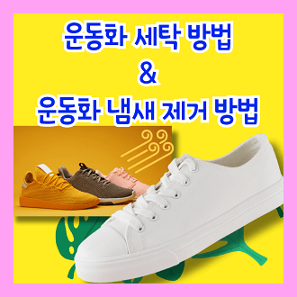 운동화 세탁 방법 및 운동화 냄새 제거 방법