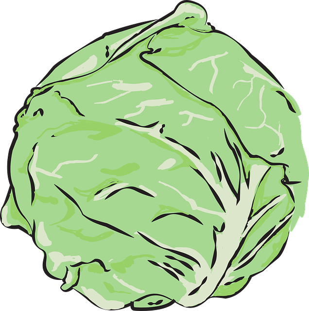 양배추 다이어트 식단