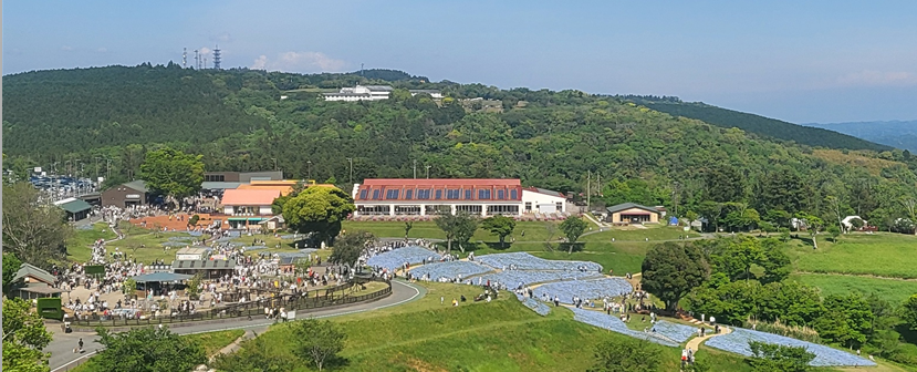 마더목장의 규모