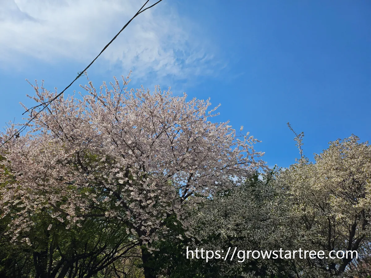 동인천 자유공원
