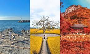 10월 1일 임시공휴일