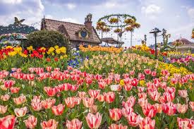 2025년 봄나들이 추천! 전국 가볼 만한 명소 Best 8