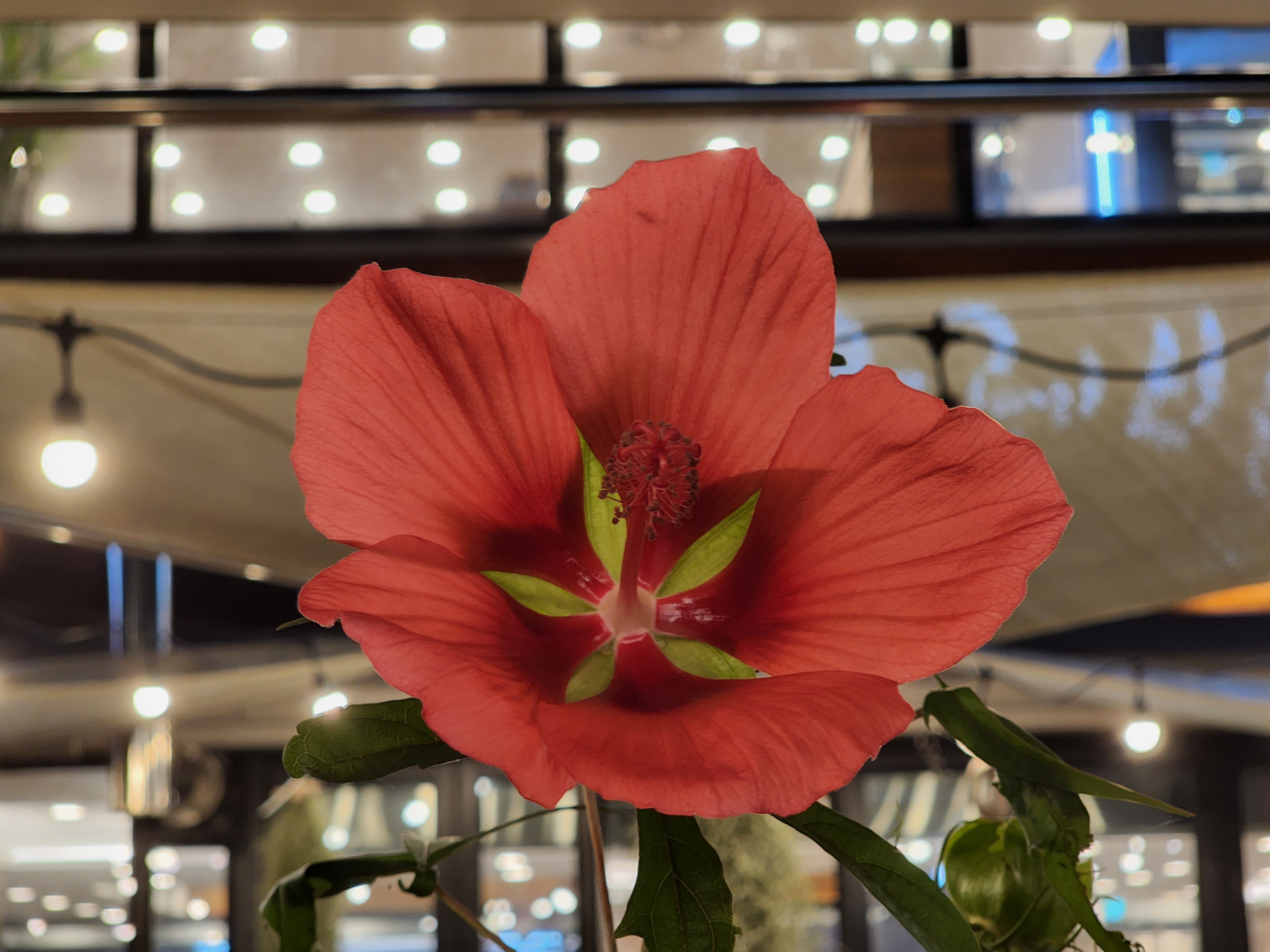 산이 내린 밥상 곤드레 밥집