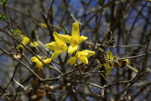 정호승 봄길 명시 10선_6