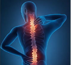 철갑상어 콘드로이친