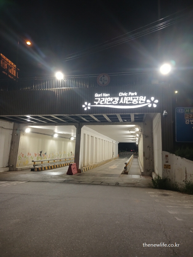 구리 한강시민공원 코스모스 축제 입구 전경