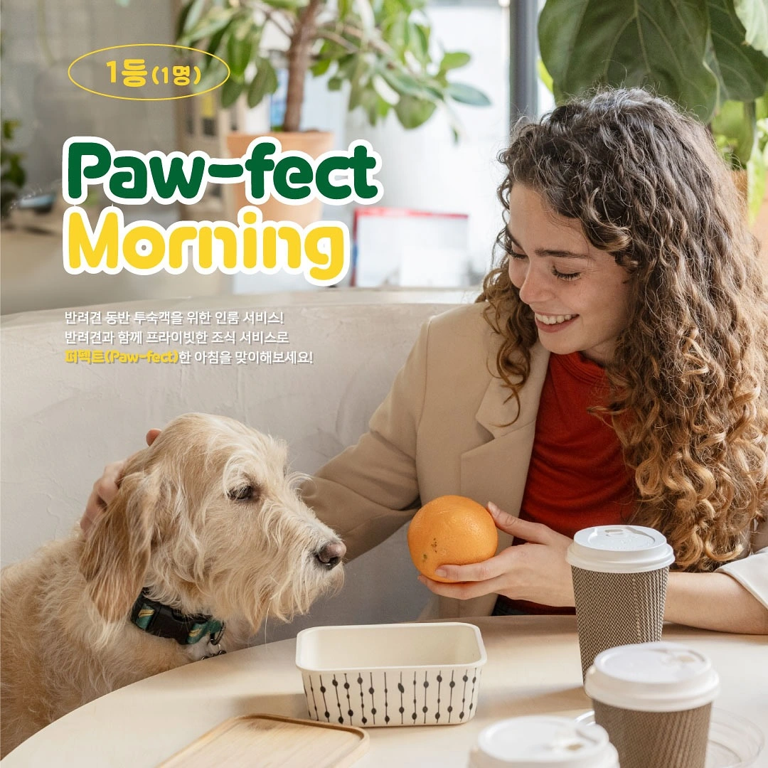 연동 메종 글래드 제주 반려견 펫캉스 패키지 이벤트 소개 참여 예약 방법 여행 강아지 동반 가능한 호텔 숙소