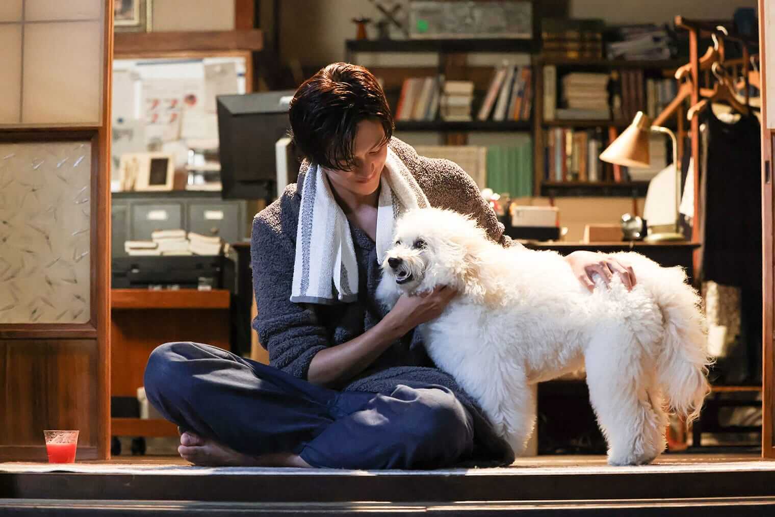 첫사랑 dogs