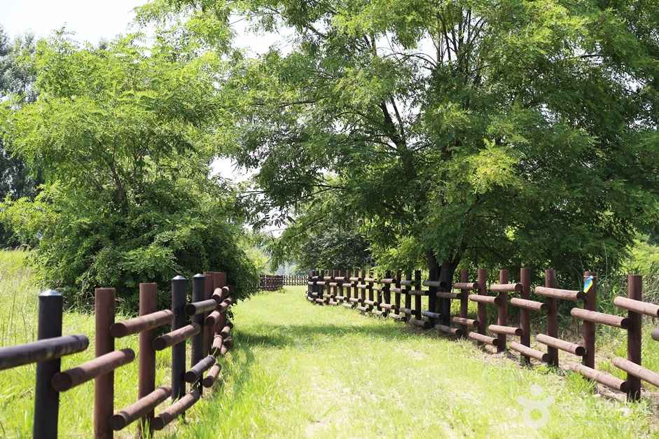 여주 가볼만한곳 베스트10 - 강천섬