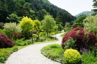 아침고요수목원 입장료 근처 맛집 펜션 추천_23