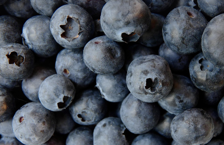 블루베리를 쌓아서 가까이 찍었다