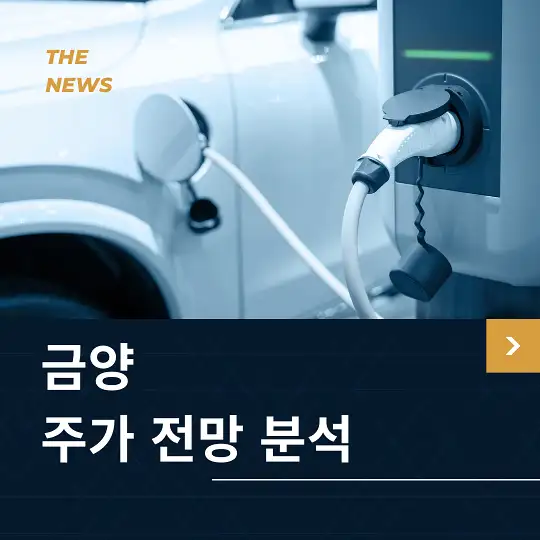 금양 주가 전망 및 분석