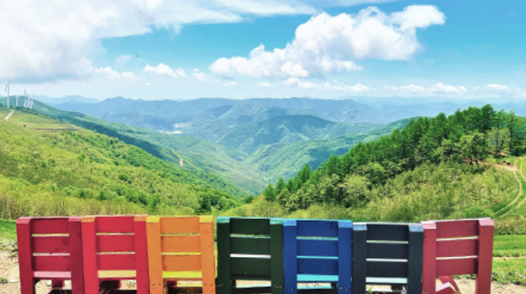 청옥산 육백마지기