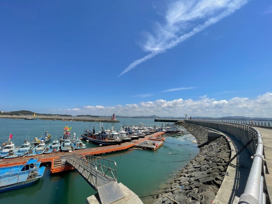 동백꽃 주꾸미 축제