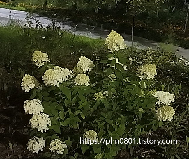 Alt 속성 문제 해결 설명 이미지