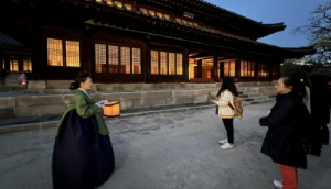 야간개장 관람 꿀팁