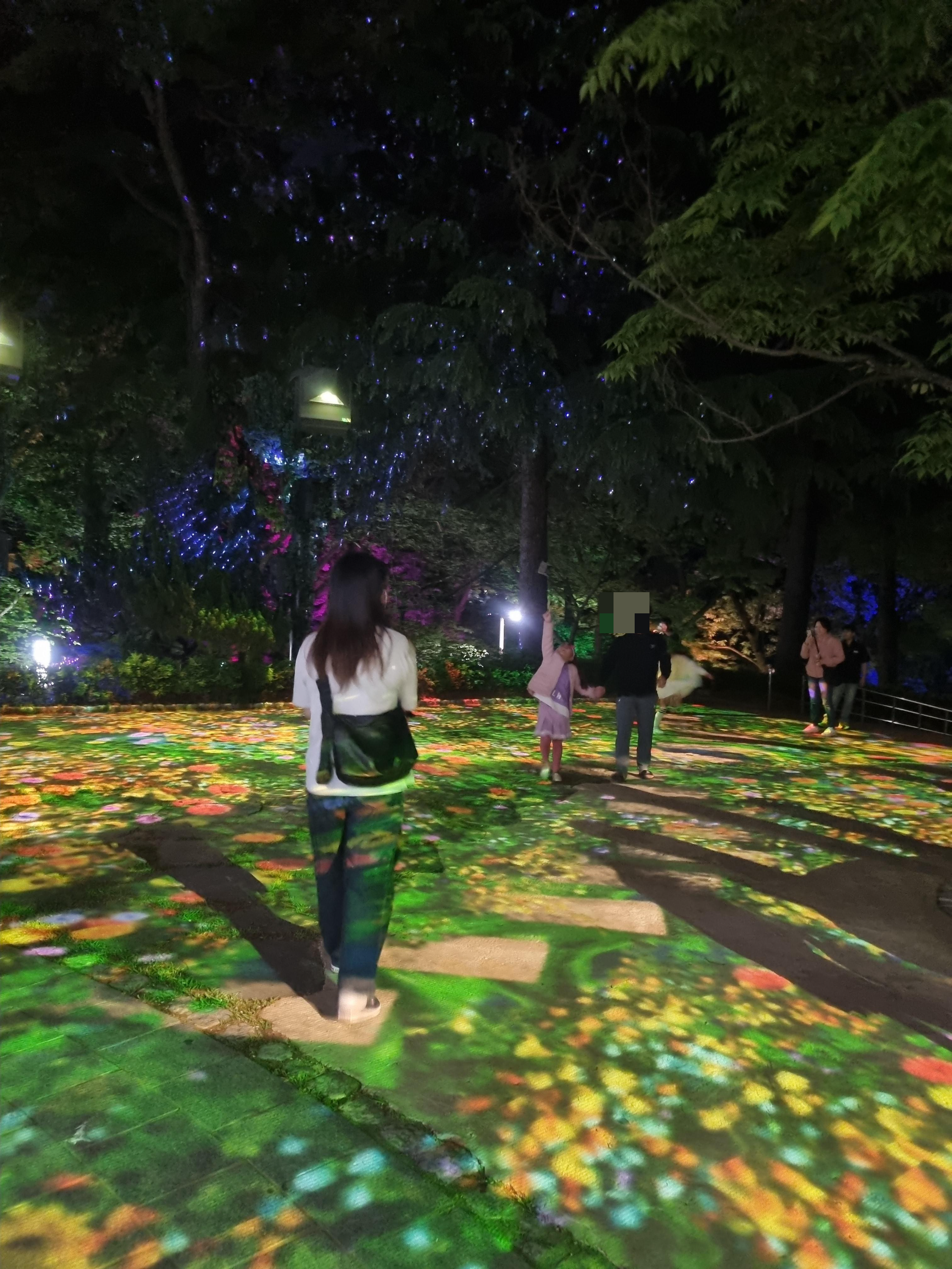 사직공원 빛의숲