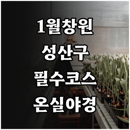 1월에 방문하기 좋은 창원 성산구 명..