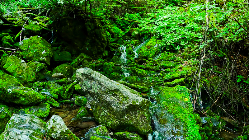 가리왕산 이끼폭포 9폭