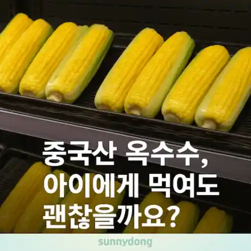 중국산 옥수수에 대한 궁금증 썸네일