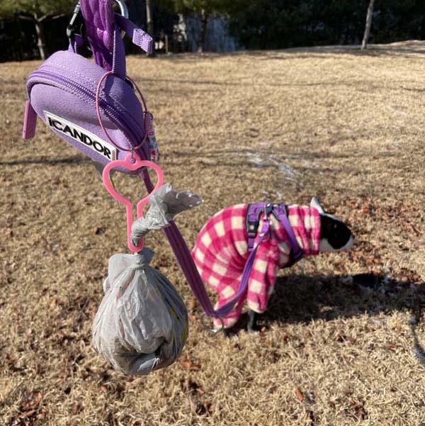 강아지가 핑크체크무늬옷을입고 두번째 똥을싸고있다.