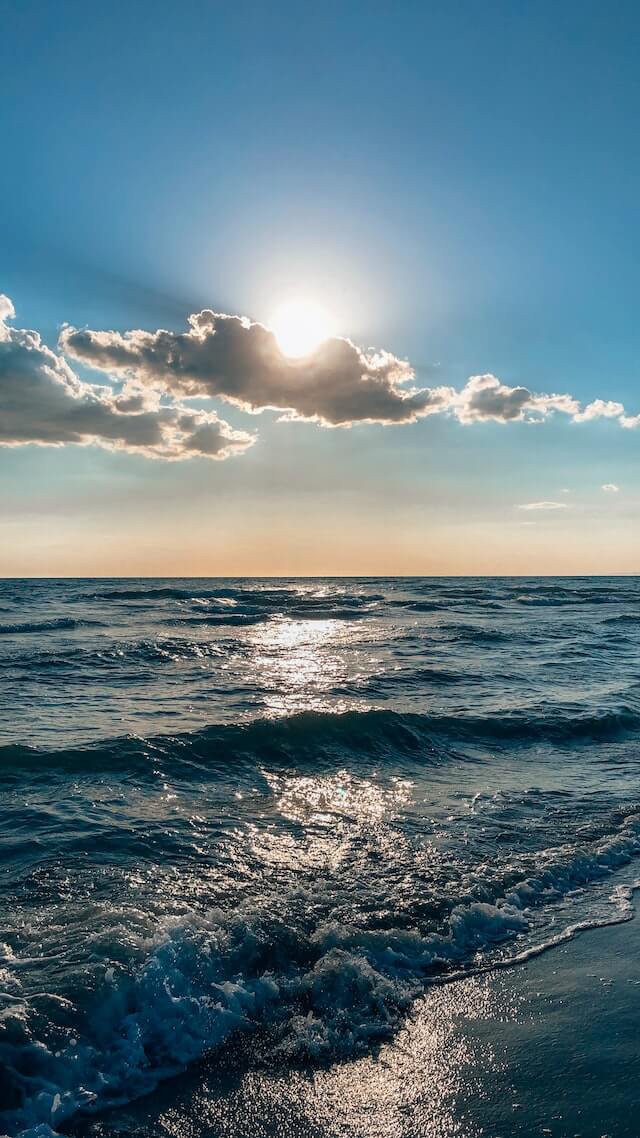 햇빛의-중요성