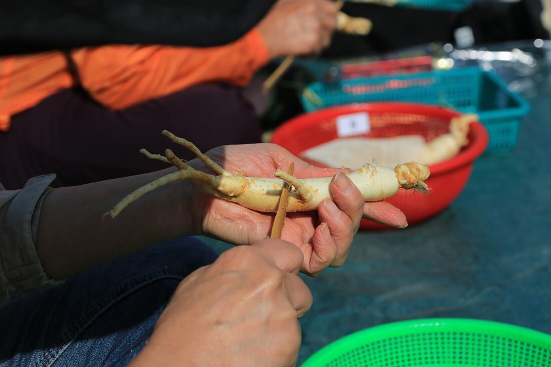 10월 축제 가을 축제 2024 축제 가족 나들이 문화 행사 지역 축제 축제 일정 가을 여행 축제 추천 즐길 거리