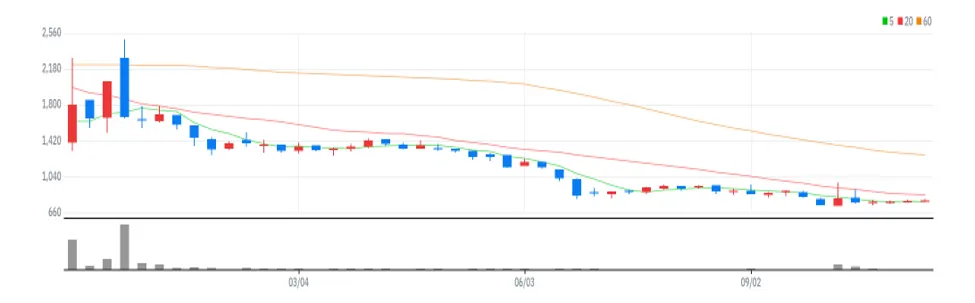 엠에프엠코리아 주봉