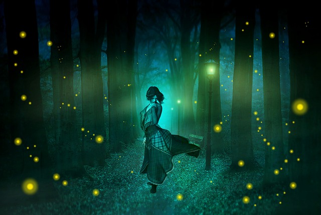 무주 반딧불축제 관련 이미지